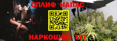 винт Будённовск